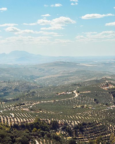 andalucia_rural